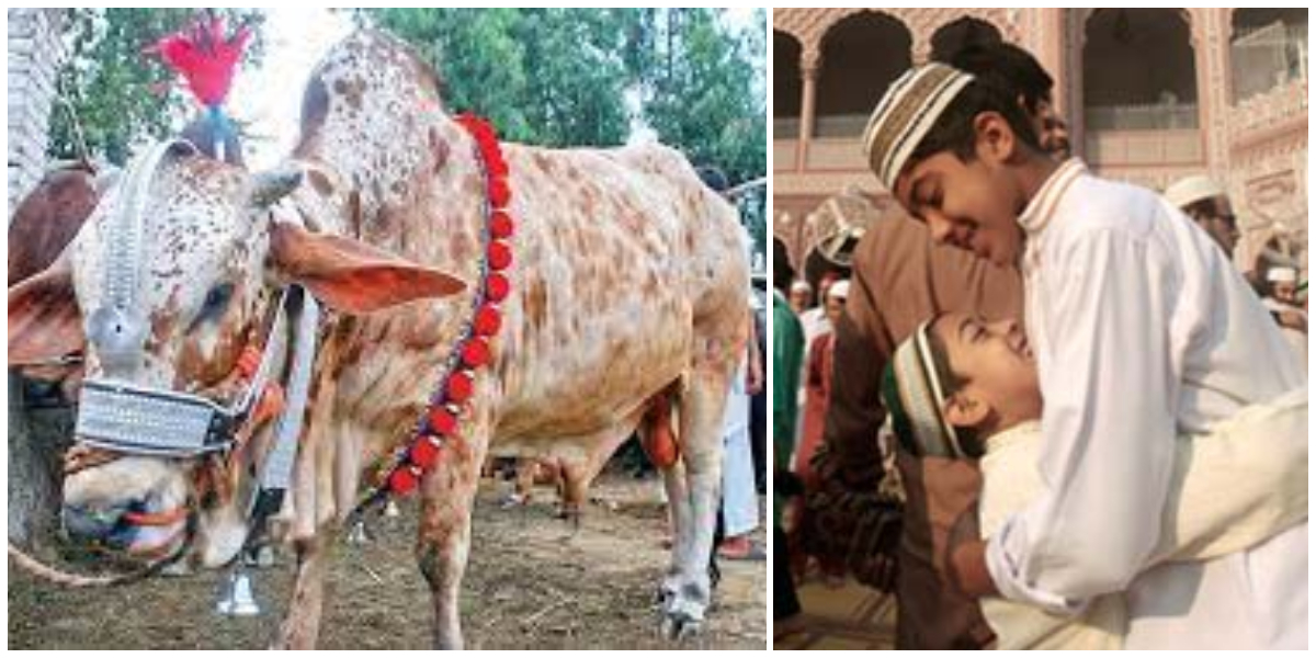 Sindh Government Announces Eid-ul-Adha Holidays
