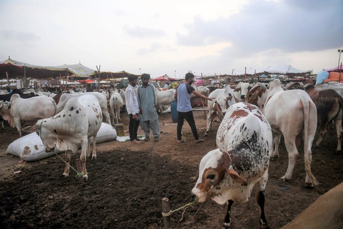 eid ul adha