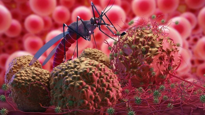 malaria