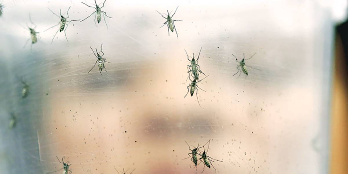 dangerous virus in India