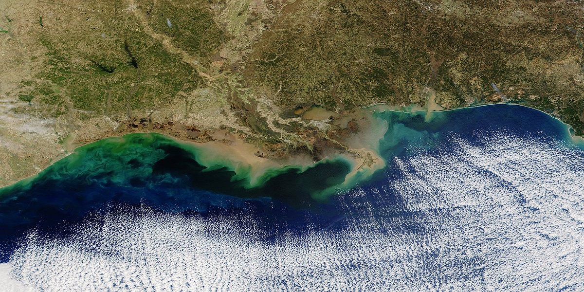 A large “dead zone” in the Gulf of Mexico, an area of low to no oxygen