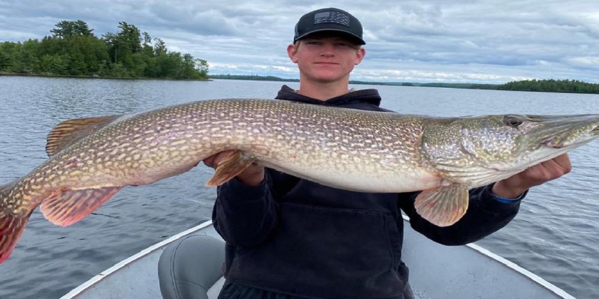 Teenager sets a new Minnesota fishing record with a 46 1/4-inch pike