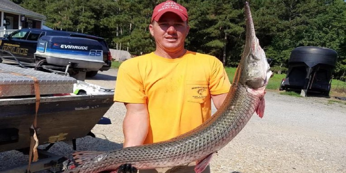 Virginia man catches a record-breaking 23-pound longnose gar