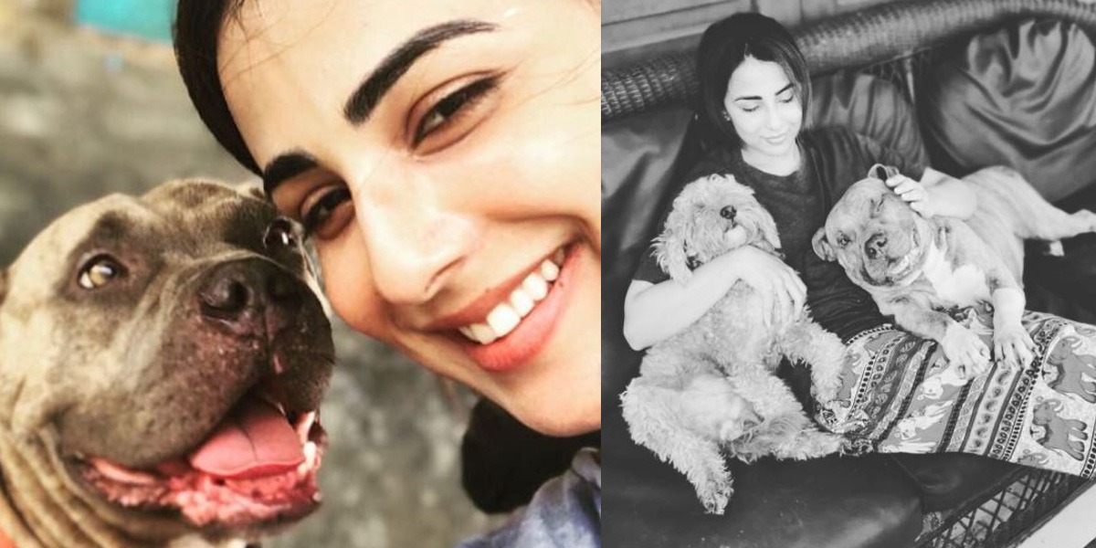 Ushna Shah pet dog's birthday