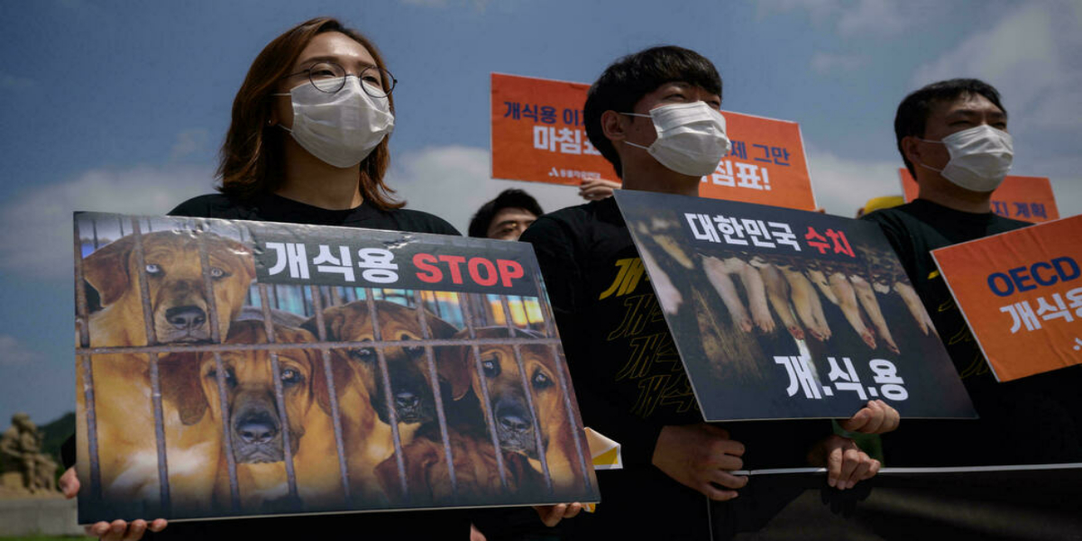 South Korea's President Moon raises dog meat ban