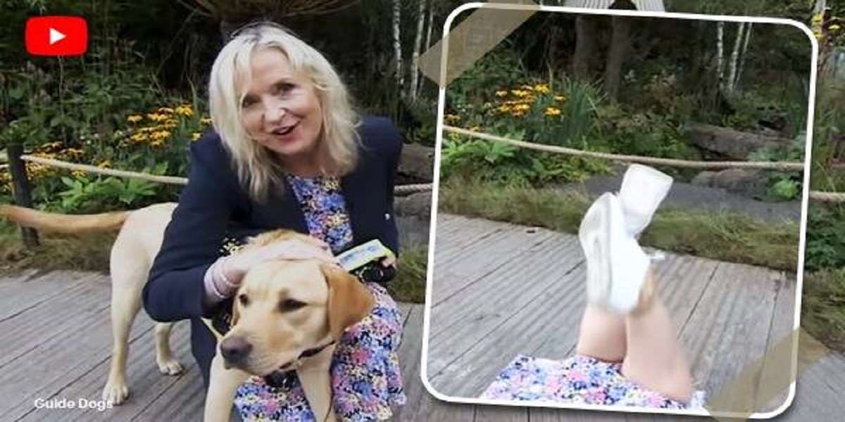 Dog brings one of the week's best moments to television