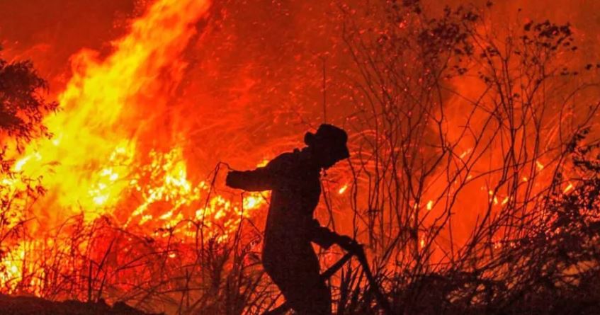 pai forest fire