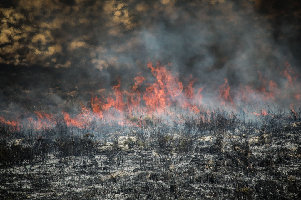 SYRIA BUSHFIRE