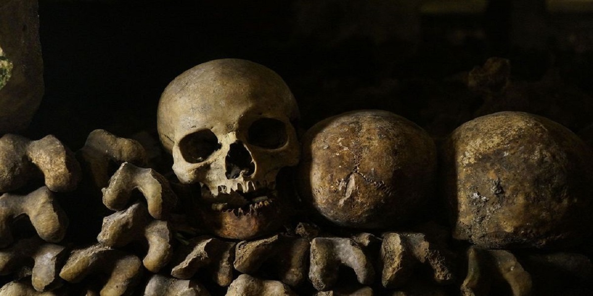 Man became terrified: After discovering odd bones hidden in his house