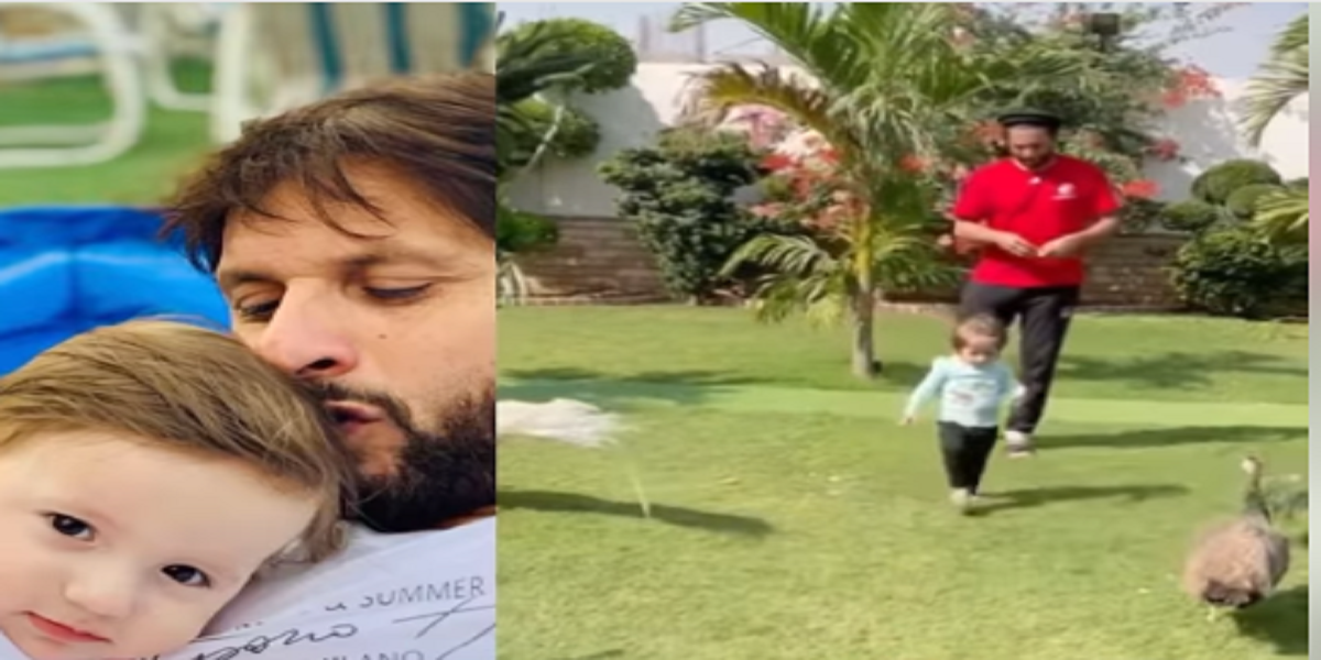Shahid Afridi