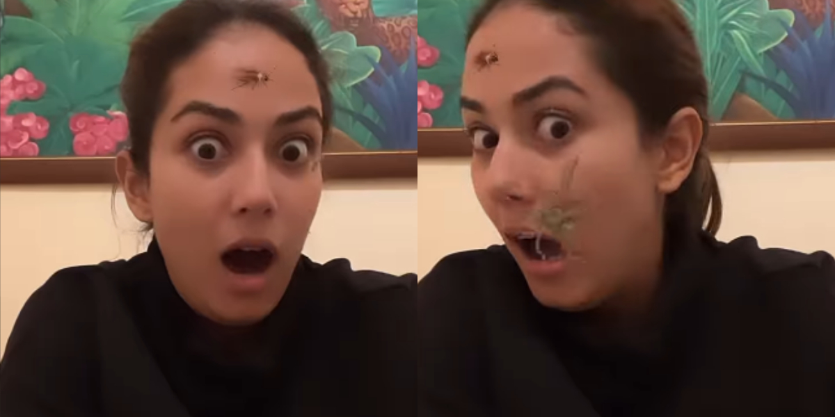 Mira Rajput