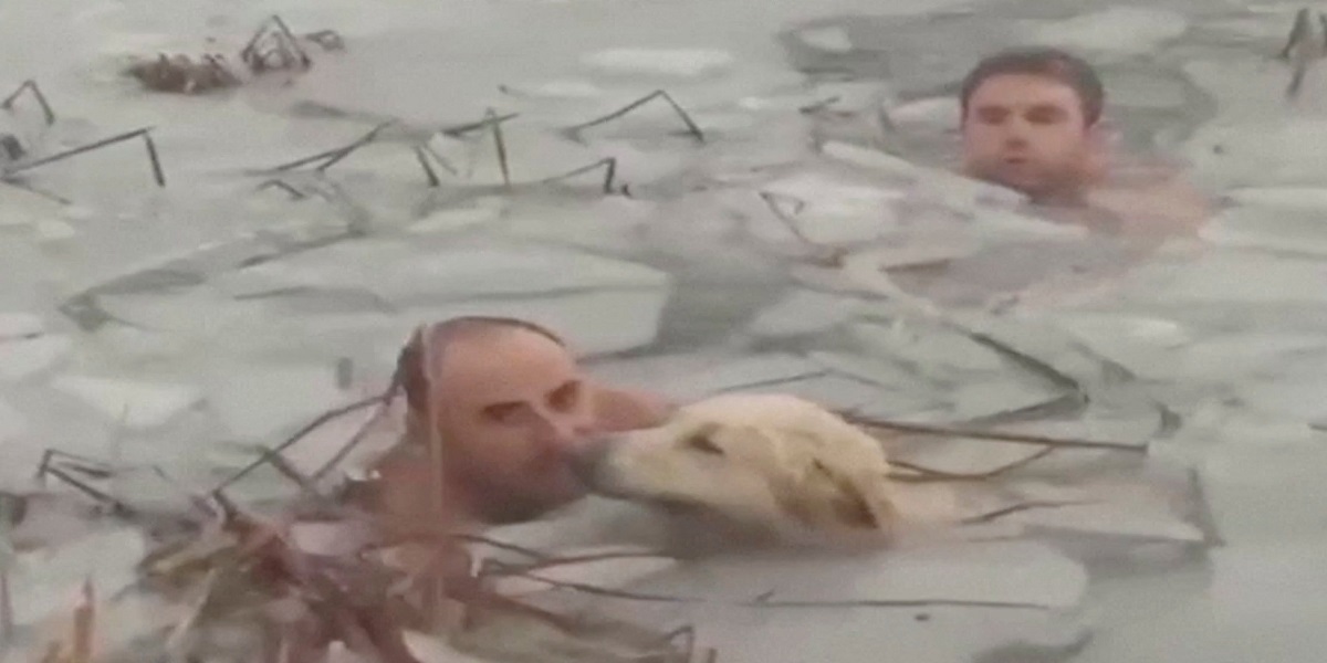 Watch video: Spanish police officer rescued a dog from icy water goes viral