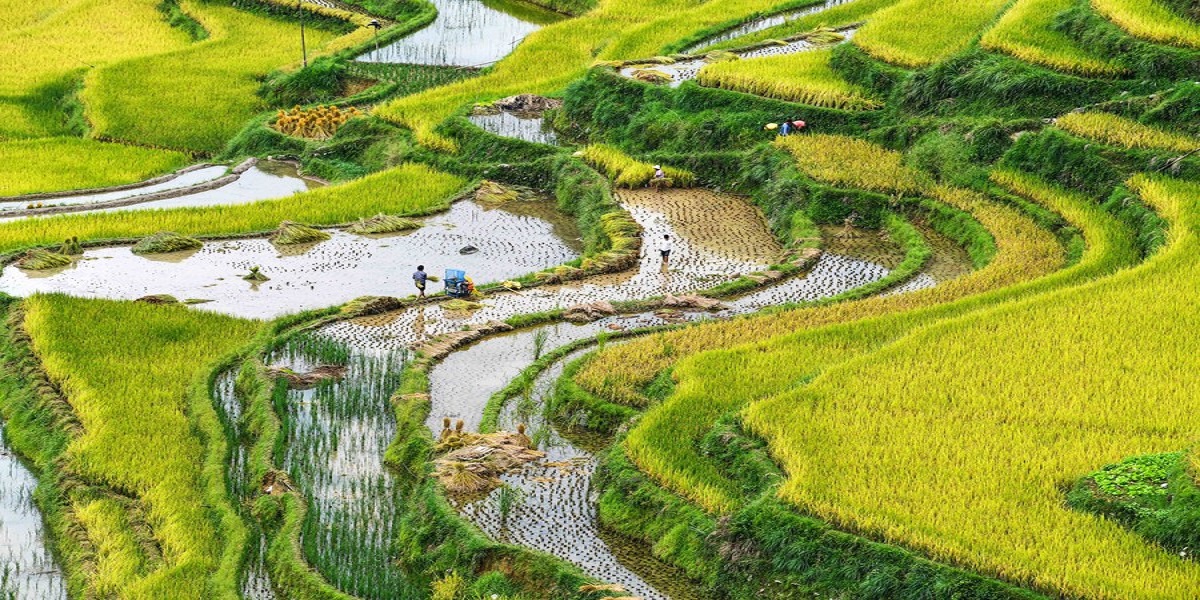 China’s common prosperity boon to world
