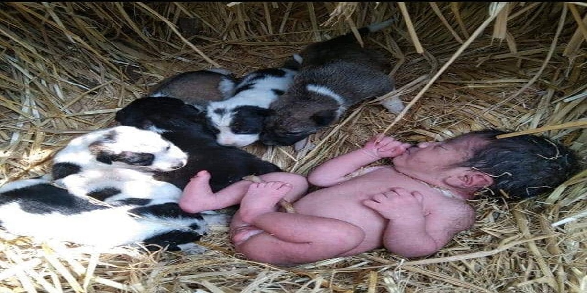newborn baby