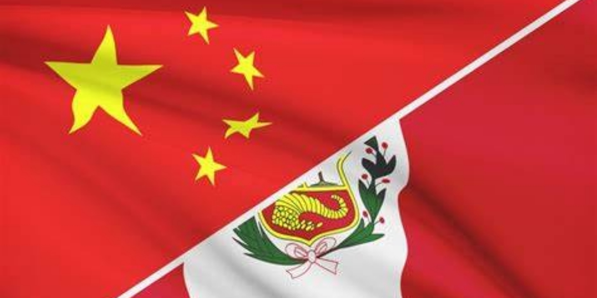 China-Peru relations maintain steady development despite global changes: Chinese FM