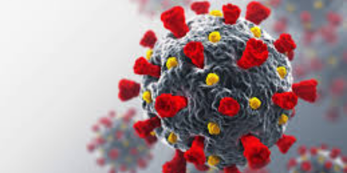 Covid disruptions caused surge in malaria deaths: WHO