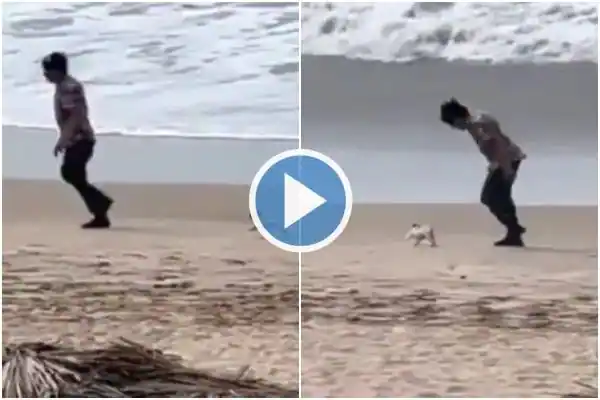 Man Plays With Little Dog