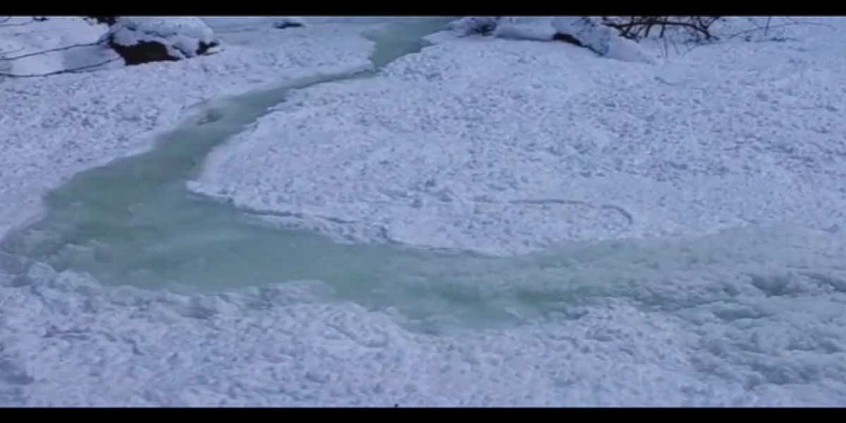 Video of Canadian stream disappears beneath the ice has gone viral