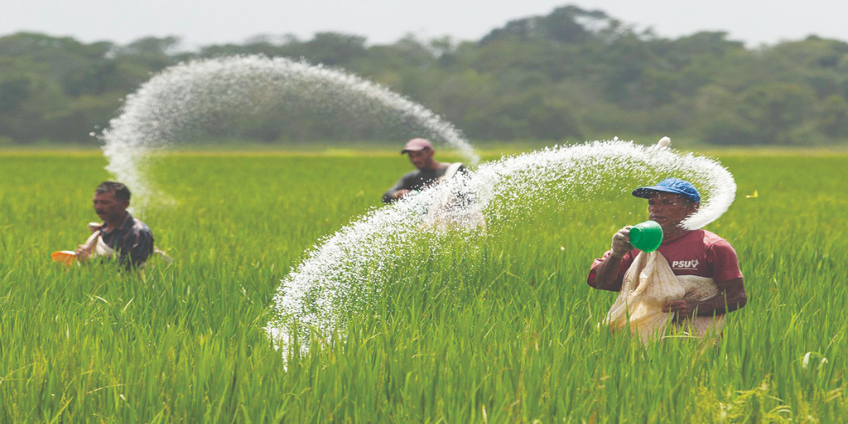 farmers