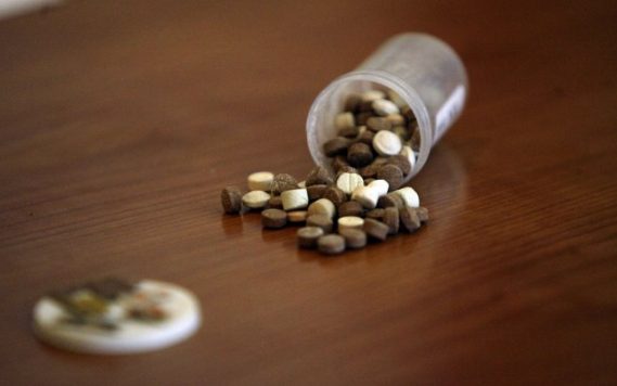ANF arrests drug peddler supplying narcotics in educational institutes