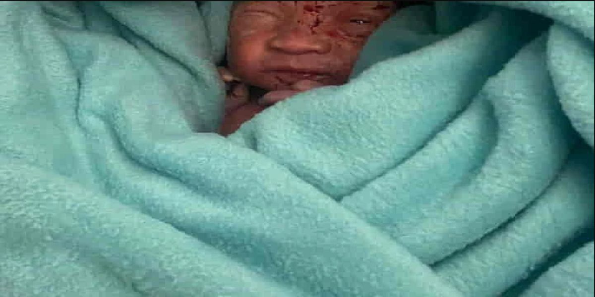 newborn baby