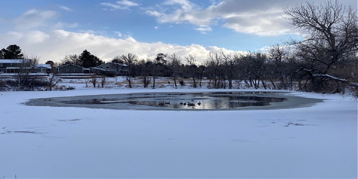 frozen pond