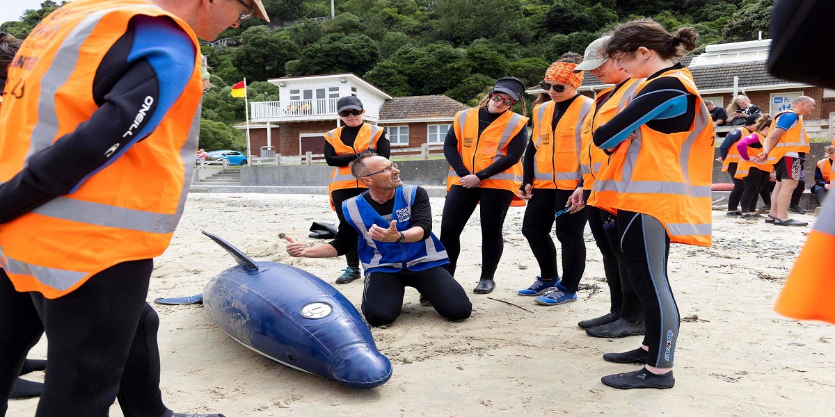 Giant rubber whale helps Kiwi rescuers