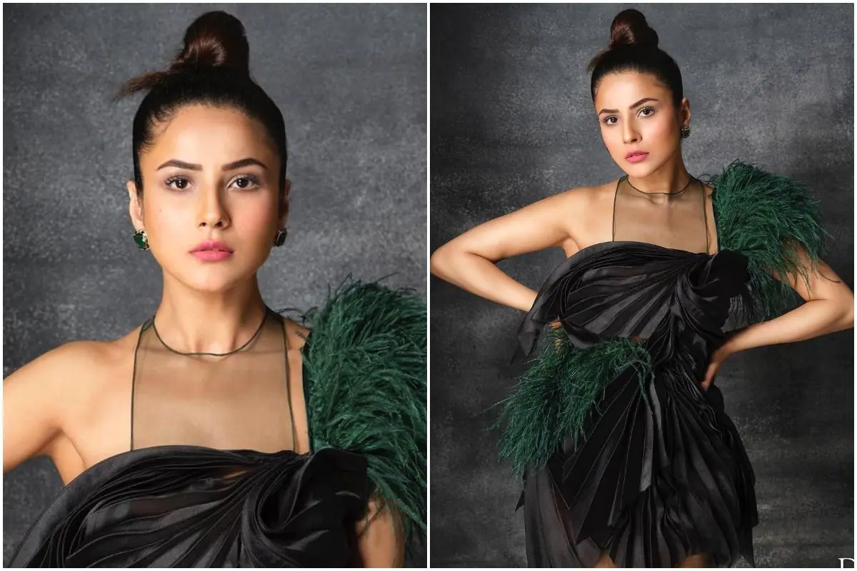 Shehnaaz Gill