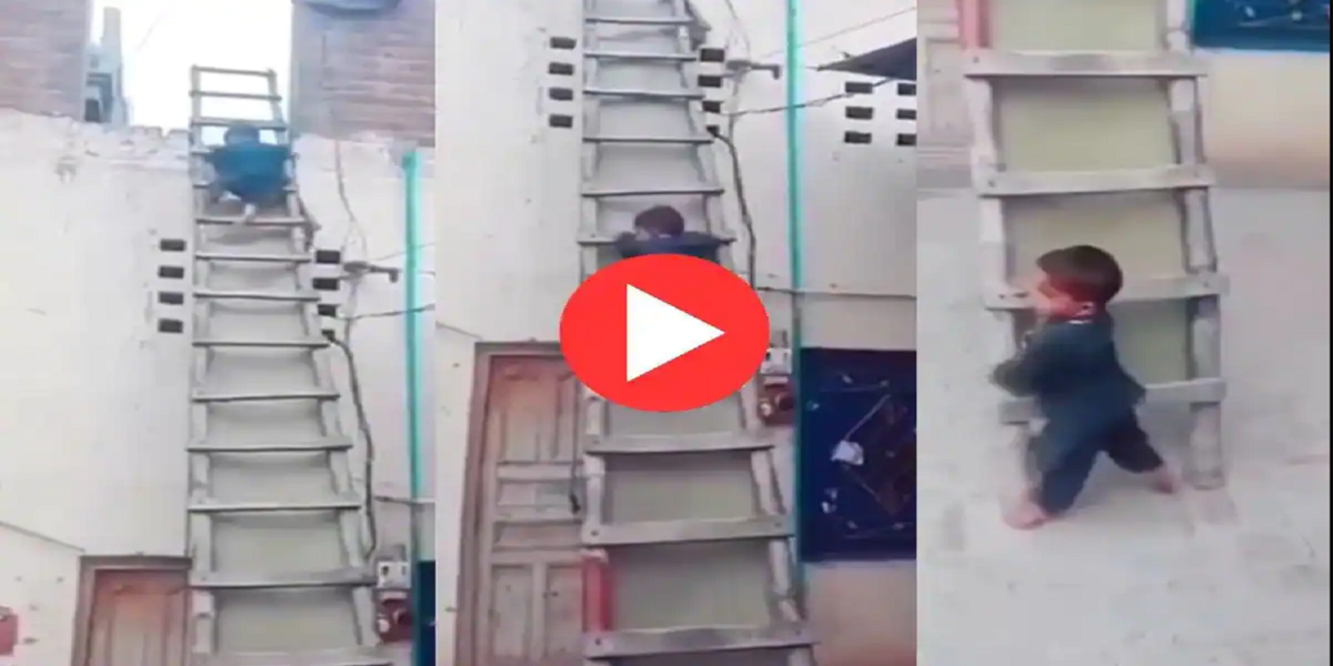ladder