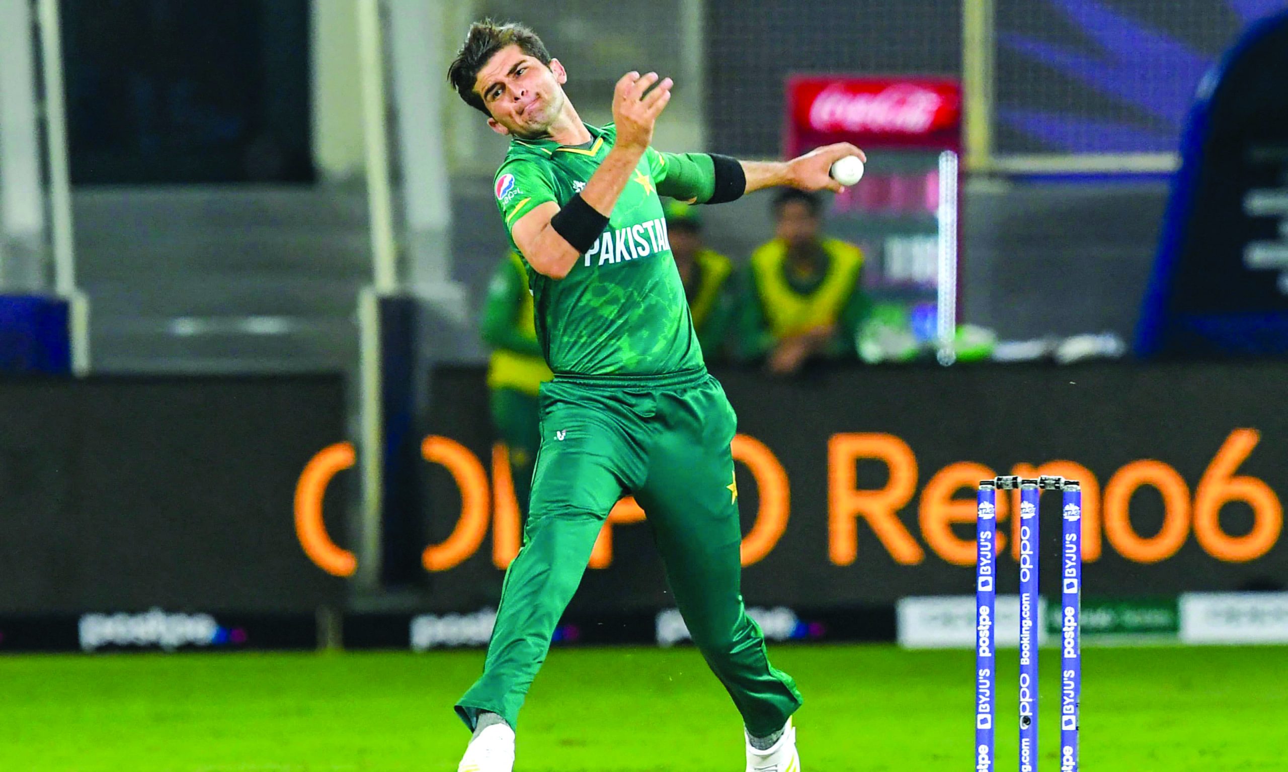 Shaheen