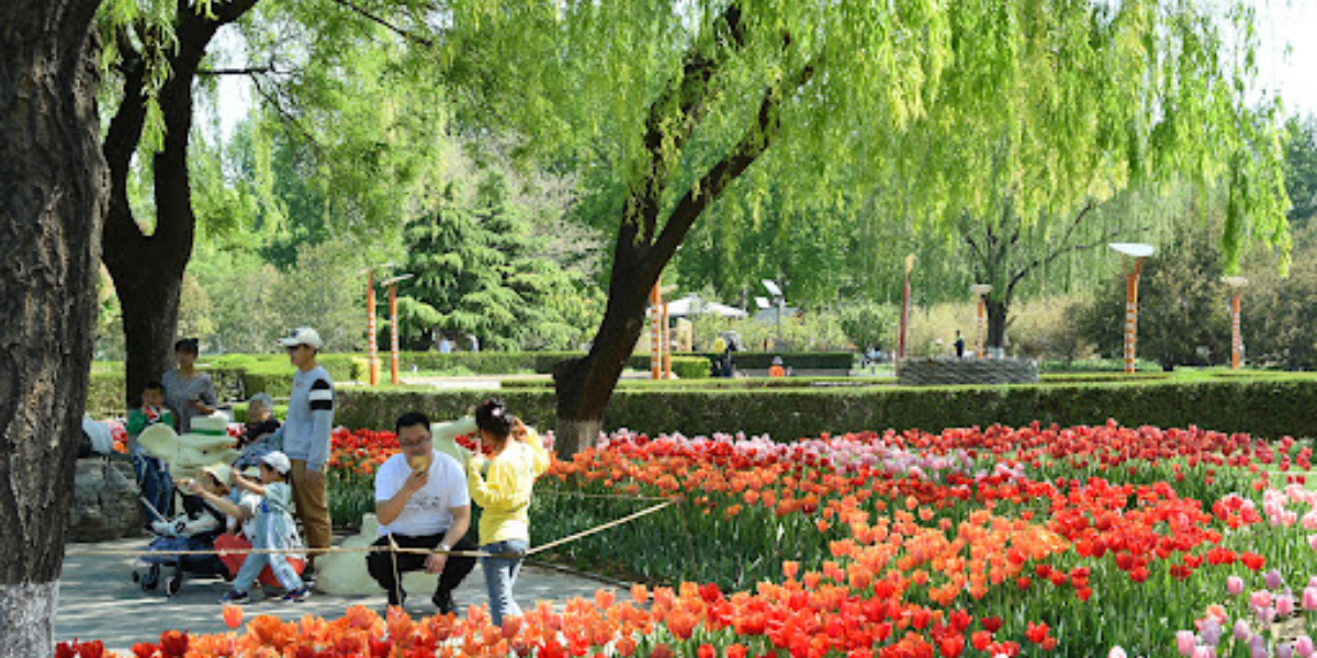 Beijing parks