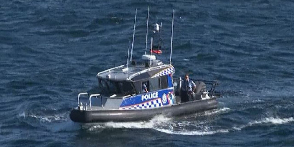 Sydney shark attack