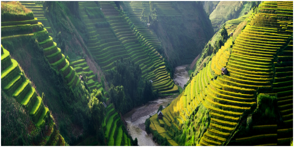 Vietnam to resume int'l tourism from March 15