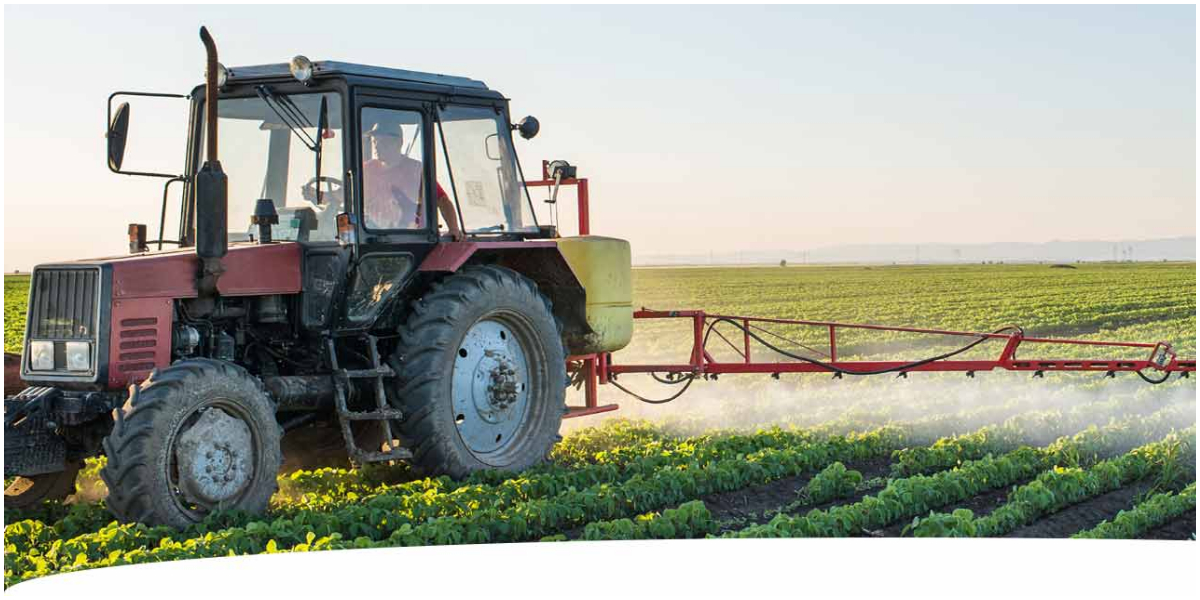Kenya to enhance food safety to boost agricultural exports