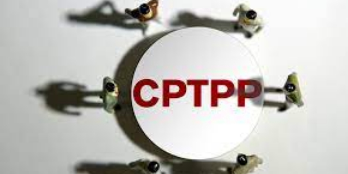 China in talks with CPTPP members over accession procedures: MOC