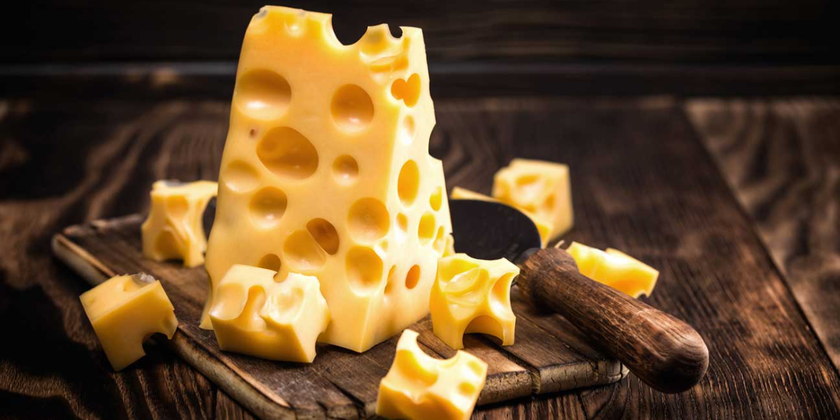Did you know why Swiss cheese have holes?
