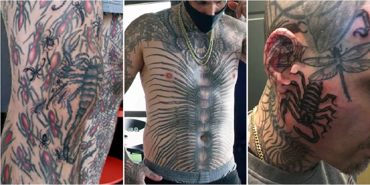 insect tattoos
