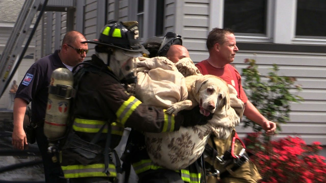 Florida firefighters