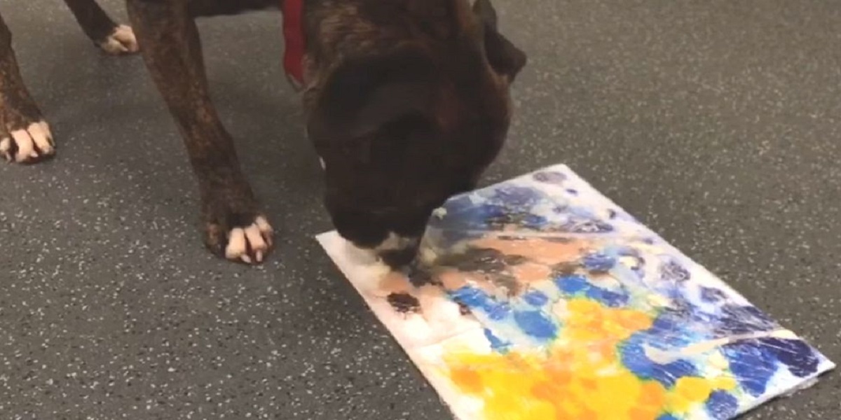 paintings
