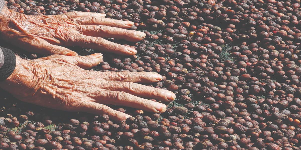 saudi coffee