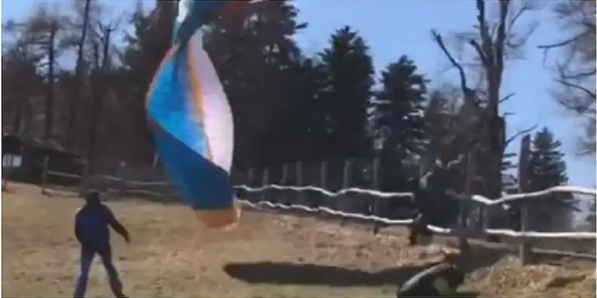 paraglider