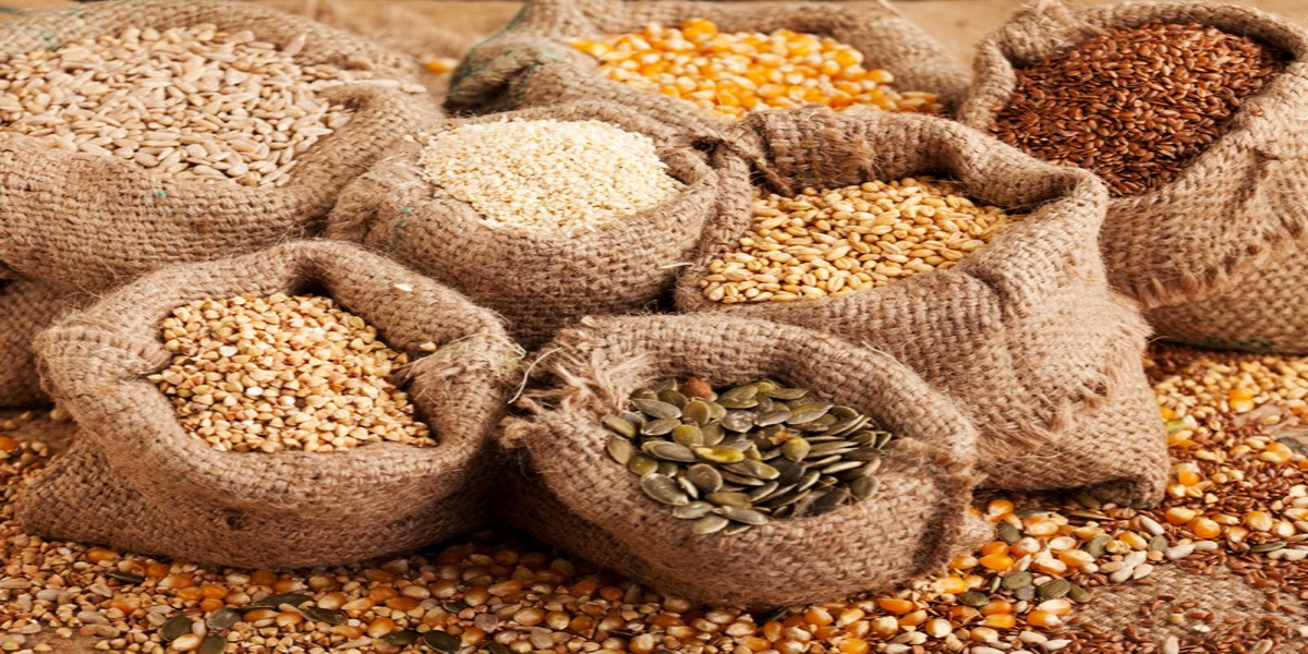 seed industry