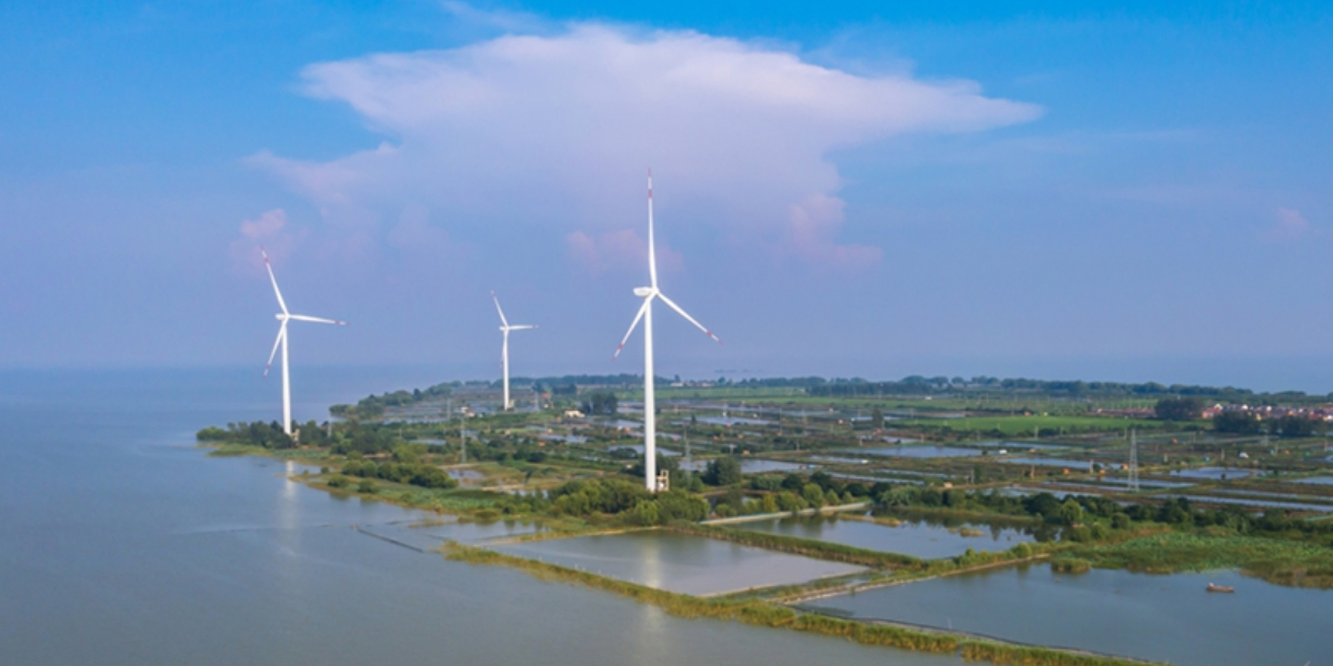 China releases plan to support carbon peak, neutrality goals