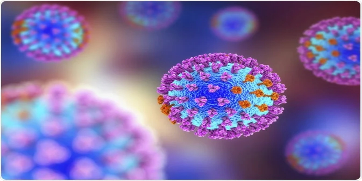 flu viruses