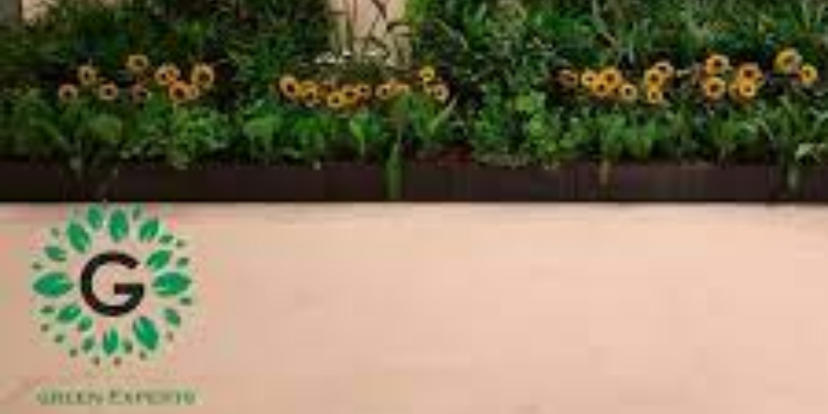 African experts say dryland resources driving green transition agenda