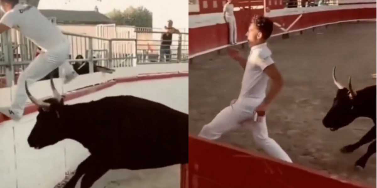A Man Nearly Escaping From A Dangerous Bull’s Attack, watch video