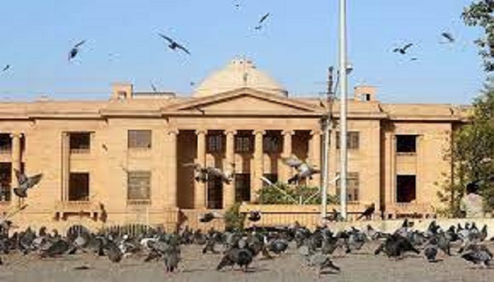 SHC oil