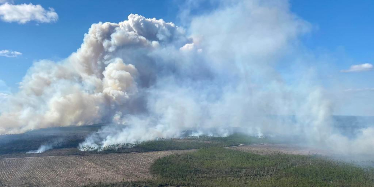Wildfires