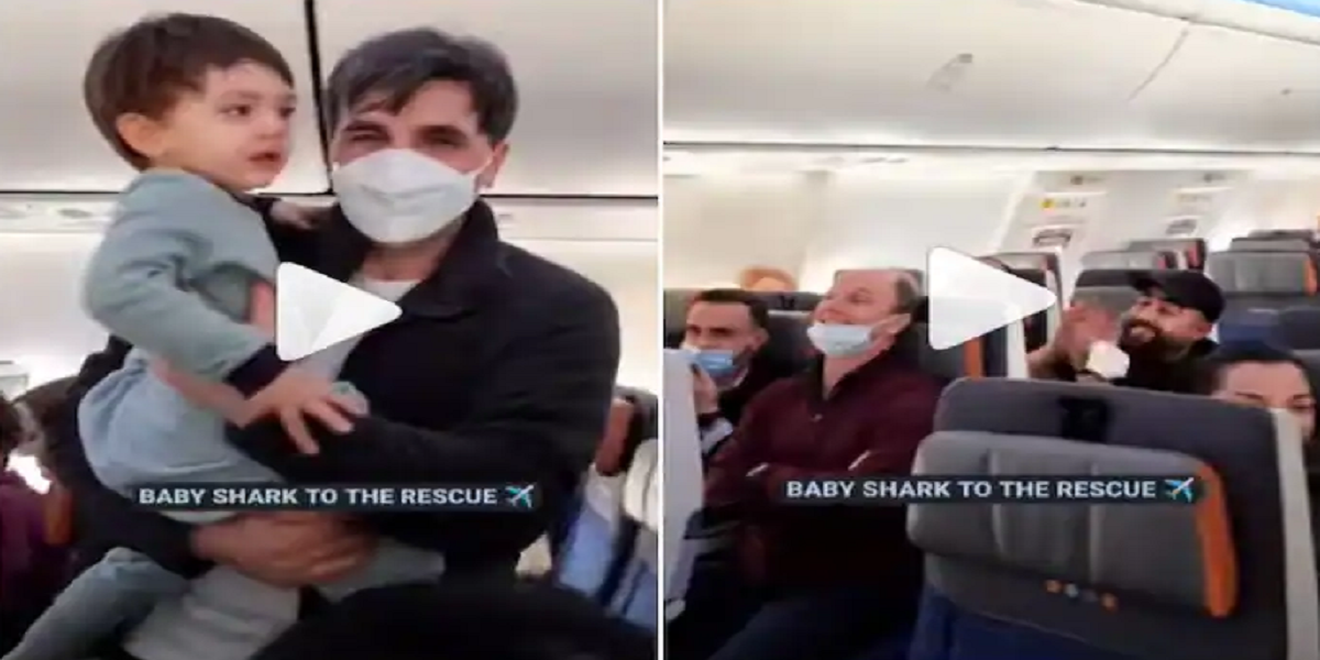 Baby Shark