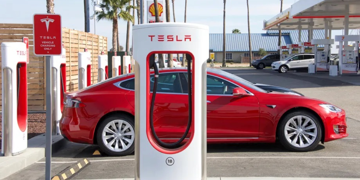 TSLA Stock Earnings
